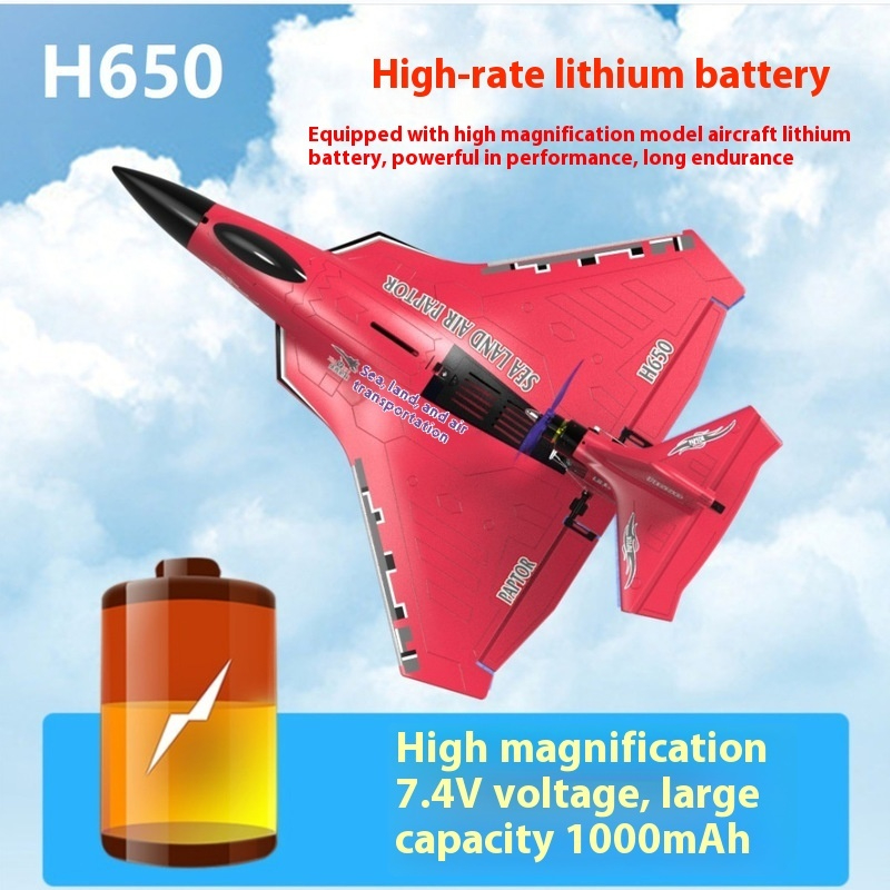 Avion RC H650 grande taille, r - Rc Wing Glider avis et prix
